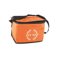 Non-Woven Cooler Bag