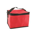 Non-Woven Cooler Bag