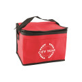Non-Woven Cooler Bag