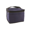Non-Woven Cooler Bag