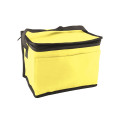 Non-Woven Cooler Bag