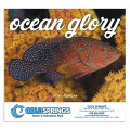 Good Value™ Ocean Glory - Stapled Calendar