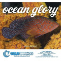 Good Value™ Ocean Glory - Stapled Calendar