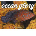 Good Value™ Ocean Glory - Stapled Calendar