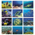 Good Value™ Ocean Glory - Stapled Calendar