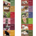 Puppies & Kittens Desk 2023 Calendar