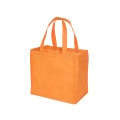 Econo Enviro-Shopper