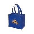 Econo Enviro-Shopper