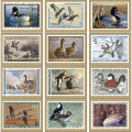 Duck Stamps