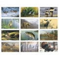 Triumph® Calendars Wildlife Art by the Hautman Brothers C...