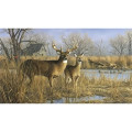 Triumph® Calendars Wildlife Art by the Hautman Brothers C...