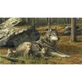 Triumph® Calendars Wildlife Art by the Hautman Brothers C...