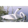 Triumph® Calendars Wildlife Art by the Hautman Brothers C...