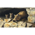 Triumph® Calendars Wildlife Art by the Hautman Brothers C...