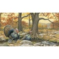 Triumph® Calendars Wildlife Art by the Hautman Brothers C...