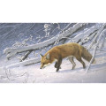 Triumph® Calendars Wildlife Art by the Hautman Brothers C...