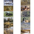 Triumph® Calendars Wildlife Art by the Hautman Brothers C...