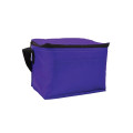 Budget 6-Pack Cooler