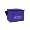 Budget 6-Pack Cooler