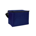 Budget 6-Pack Cooler