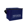 Budget 6-Pack Cooler