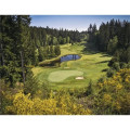 Triumph® Calendars Golf Calendar
