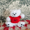 6" Big Paw Bear