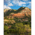 Scenic Desk Pad