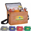 Non-Woven Shimmer Lunch Cooler