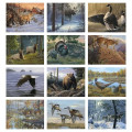Good Value™ Wildlife Canvas - Spiral Calendar
