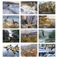 Good Value™ Wildlife Canvas - Spiral Calendar