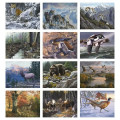 Good Value™ Wildlife Canvas - Spiral Calendar