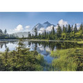 Triumph® Calendars Jumbo Hanger (12-Month) Calendar