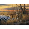 Triumph® Calendars Jumbo Hanger (12-Month) Calendar