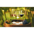Triumph® Calendars Home Recipe Calendar