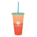 Good Value™ Ronnie Color Changing Tumbler - 24 oz.