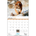 Wildlife Appointment Calendar - Stapled