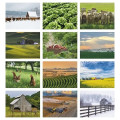 Good Value™ Agriculture - Spiral Calendar