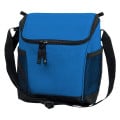 Designer Kooler Bag
