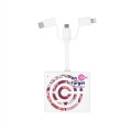 FlaminGo 3-In-1 Pre-Charged Charger