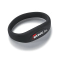 Universal Source® 2 GB Wrist Band USB 2.0 Flash Drive