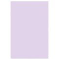 Souvenir® Sticky Note™ 4" x 6" Pad, 100 sheet
