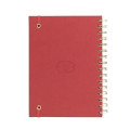 Fruit Paper Spiral Notebook