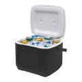 Coleman® 16 Qt. Cooler
