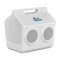 Igloo® Kooltunes® 14 Qt Cooler