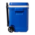 Igloo® Profile II 28 Qt Roller Cooler