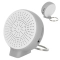 STANDING OVATION WIRELESS SPEAKER KEY RING