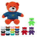 6" Color Buddy Bear