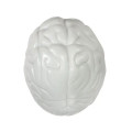 Brain Shape Stress Ball