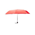 Budget Folding Umbrella